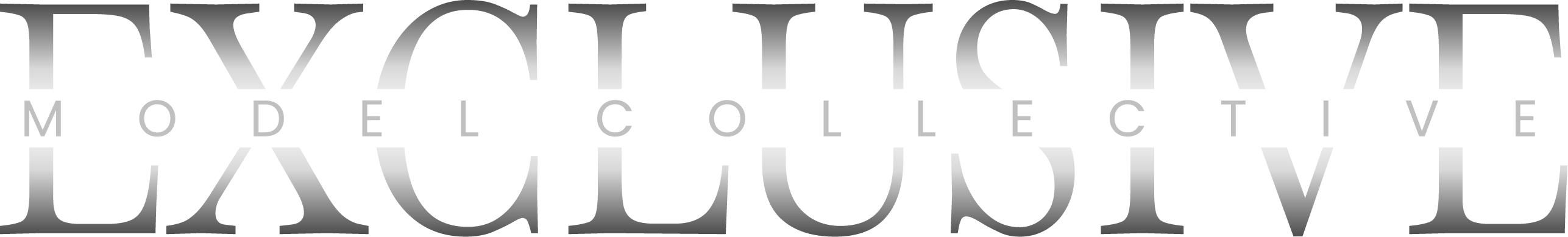 EXCLUSIVE MODEL COLLECTIVE